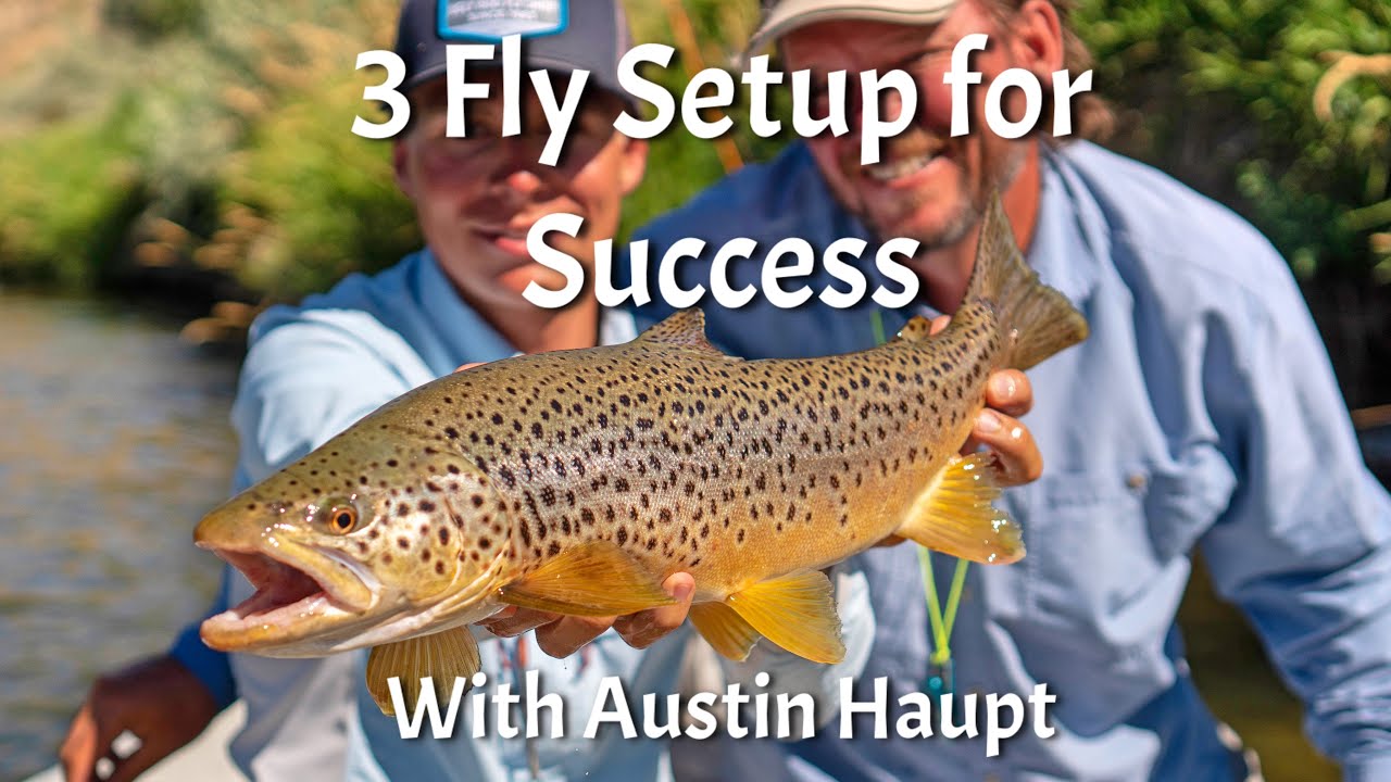 3 Fly Setup for Success