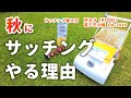 【秋の芝生管理】我が家がサッチングをやる理由（芝刈り機サッチング替え刃、サッチ・刈カス処理）京セラ（旧リョービ）電子芝刈機 LM-2810