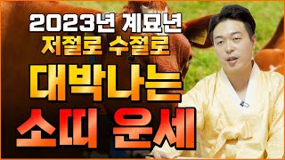 2023년 저절로 수절로 부자가 되고 대박나는 소띠운세 2023년 대박나는띠 '소띠운세'  61년생 73년생…