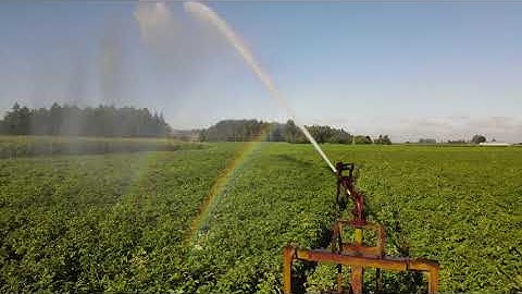 Artificial Rainbows Made by Irrigation System