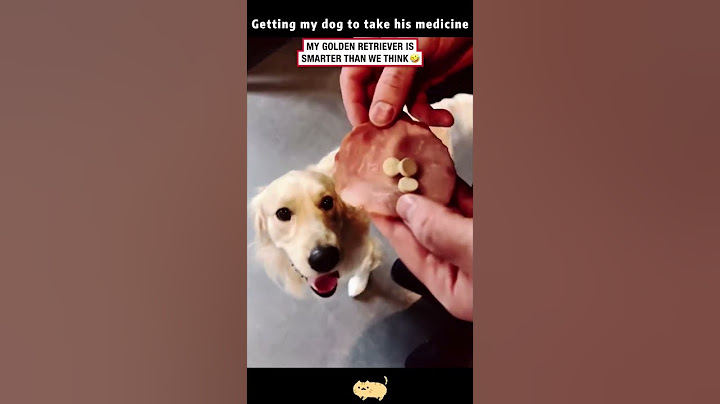 When your dog thinks the pill is poison...🐶💊#funnyanimals #funnydog #doglover #fyp #foryou #puppy