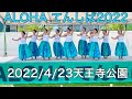 ALOHAてんしば2022 みっちゃんのフラチーム