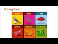 Classifying Life Forms: Domains and Kingdoms in Biology