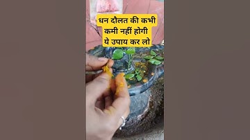 मासिक शिवरात्रि पर अगर ये उपाय कर लिया तो संपदा की कमी नहीं होगी।#youtubeshorts #upay #pradeepmishra