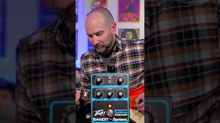 Peavey Bandit Pedal Blues Rock Tone #shorts