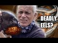EELS Compilation | COMPILATION | River Monsters