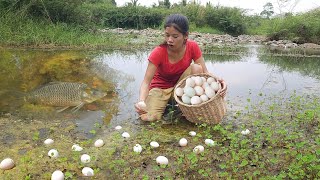 Pick Duck egg in river for survival food, Cooking Egg with spicy chili So delicious food for lunch