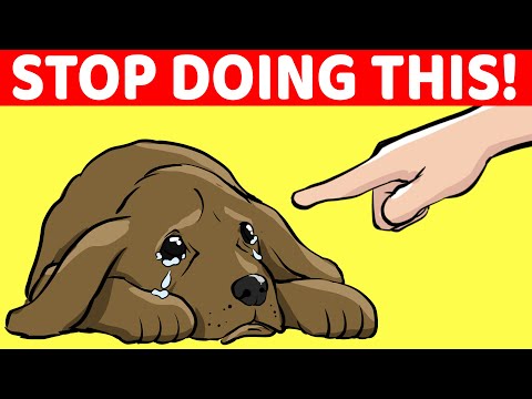 15 Things You Must Stop Doing To Your Dog