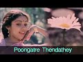 Poongatre Thendathey - Mohan, Ilavarasi - Kunguma Chimizh - Super Hit Romantic Song