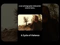 Cycle of Violence and Love #film #movie #cinema