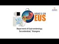 Endoscopic ultrasonography eus workshop  yashoda hospitals  hyderabad