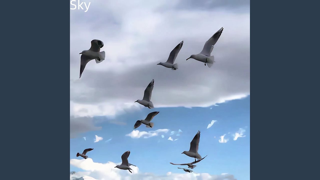 Obejrzyj Sky w YouTube Obejrzyj Sky w YouTube