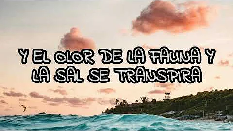 Siddhartha - Ser Parte Letra /🖤/