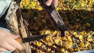 видео: Обзор колымского ножа, сервис и уход картинка: Обзор колымского ножа, сервис и уход