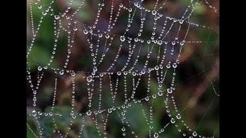 Get free webspace at Altervista