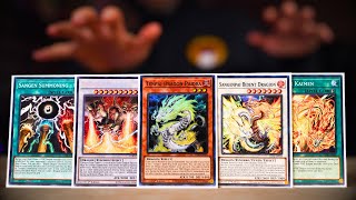 The POWER OF TENPAI Is INSANE!!! Tenpai COMBOS & Deck Profile | POST LEDE Yu-Gi-Oh! 2024