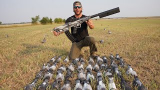 Silenced 12 Gauge Pigeon Hunt We Couldn't Reload Fast Enough