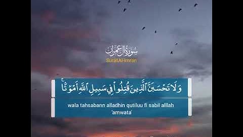 القارئ المظلوم الشيخ محمود الرويهبي شيخ مقارئ أبوحمص رحمه الله وطيب ثراه.