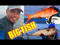 BIG FISH | FISHING IN SIBUYAN REEF | RICHARD MOLINA FISHING