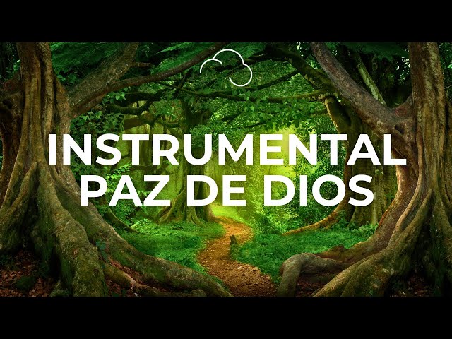 🎹💆🏻‍♂️MÚSICA INSTRUMENTAL CRISTIANA | Adoración Cristiana Instrumental | PIANO PARA ORAR class=