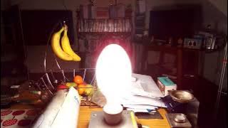 Venture 500 watt self ballasted mercury vapor light bulb