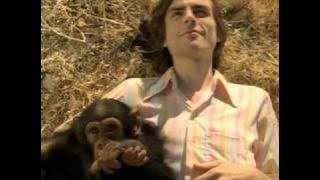 Island In The Sun by Weezer | Interscope