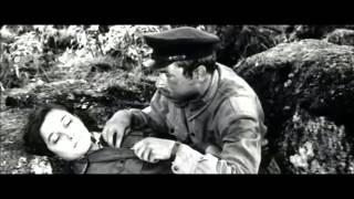 А зори здесь тихие Ирбит школа 8 5а класс А зори здесь тихие Ирбит школа 8 5а класс