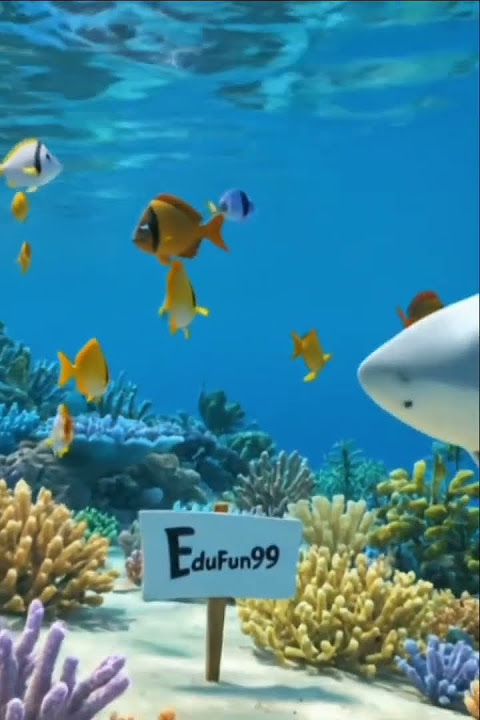 Kid Takes a Selfie Above the Ocean with a Shark?! | 3D Fantasy Short 🌊 #shorts #kids