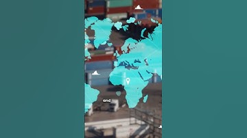 Shipment stuck at customs? Do this