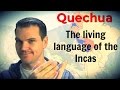 Quechua  the living language of the incas