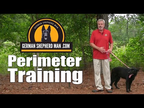 वीडियो: कैसे एक कुत्ते को प्रशिक्षित करने के लिए संपत्ति पर रहने के लिए