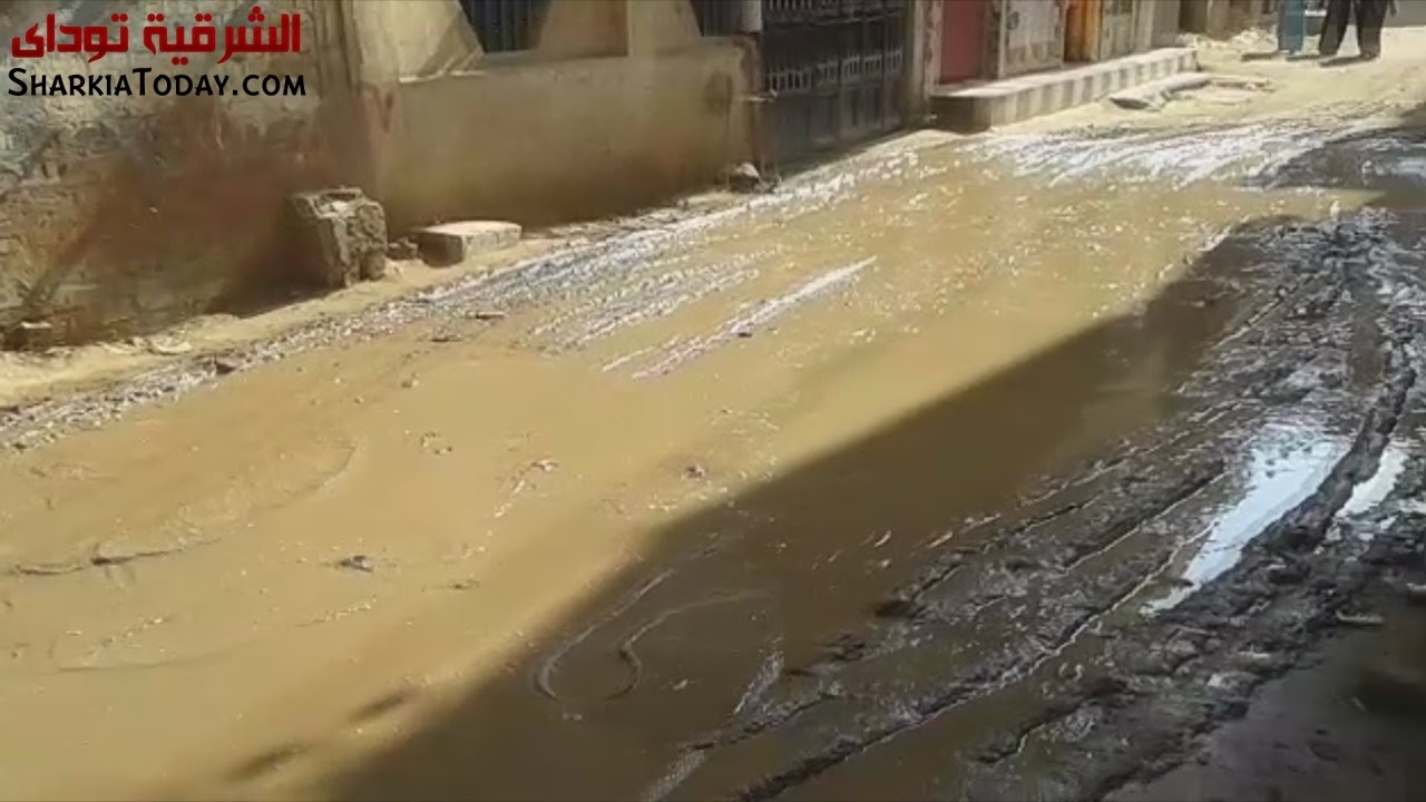 الصنافين مركز منياالقمح قرية معدومة الخدمات وسط تجاهل المسؤولين وغياب النواب