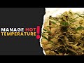Best way to deal with heat in your grow environment