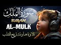 سورة الملك مكررة تسمعها قبل النوم بصوت جميل القارئ محمود خير الله Surah Al Mulk سورة الملك مكررة تسمعها قبل النوم بصوت جميل القارئ محمود خير الله Surah Al Mulk