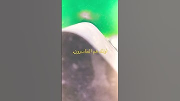 ماتيسر من سورة الزُمر. تلاوه / نواف محمود بصفر