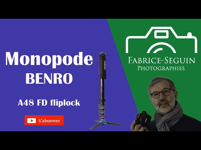 Monopode Benro