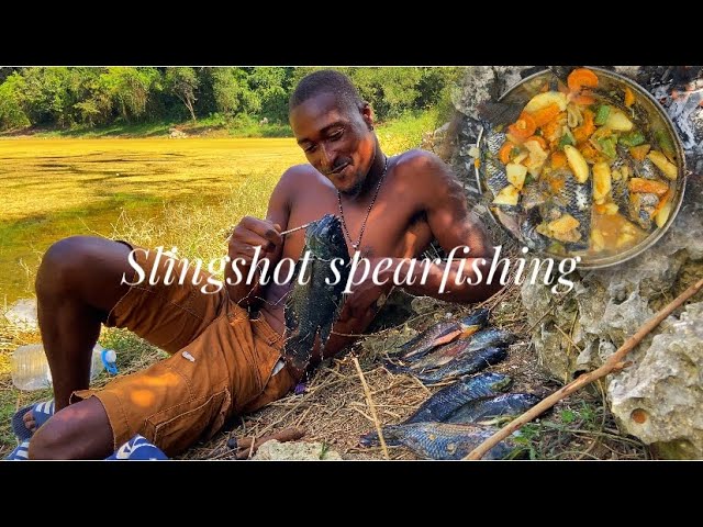 SLINGSHOT spearfishing for wild tilapia steam fish Ñ crackers