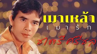 Video thumbnail of "เมาเหล้าเมารัก  - ชาตรี ศรีชล (Official MV&Karaoke)"