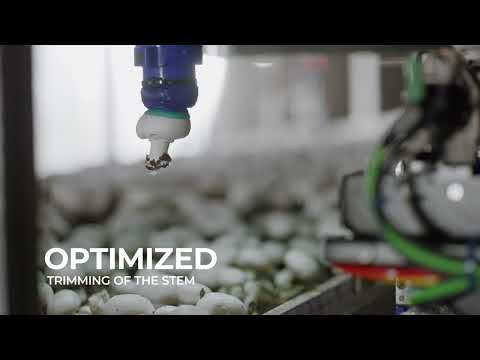 4AG Robotics Appoints Don Listwin to Board of Directors
