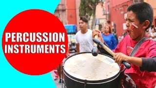 Percussion Instruments for Kids  Demonstration and Sounds of Best Percussion Instruments