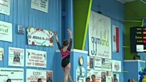 Beam _ Brittney McNiff @ NJ Level 9 States 2nd Place