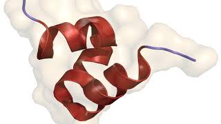 Osteocalcin | Wikipedia audio article