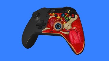 How a Gamepad works