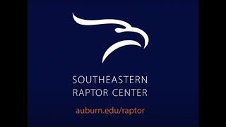 Southeastern Raptor Center Master Plan Video