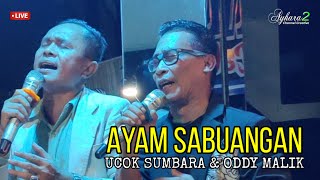 Nasib Cando Ayam Sabuangan Live Terbaru 2023 Ucok Sumbara feat Ody Malik