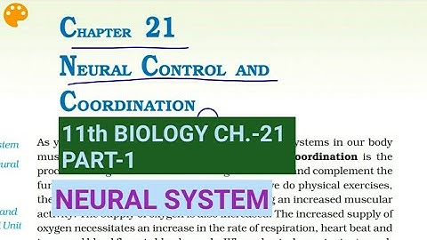 Class 11 Biology|Ch.-21 |Part-1||Human neural system||Study with Farru