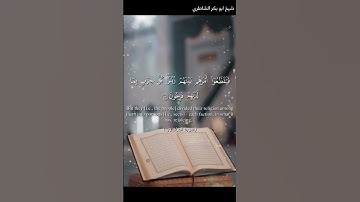 القارئ: شيخ ابو بكر الشاطري 🤍