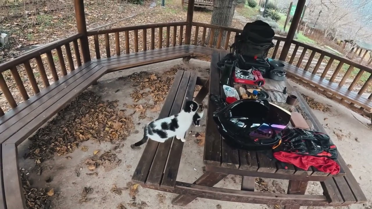 Dağ Motoruyla, VADİDE Yemek ASMR!