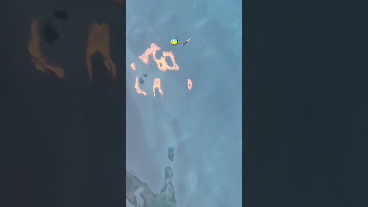 Alien fish off Catalina, CA coast