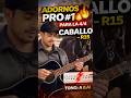 Adornos PRO #1 Caballo R15